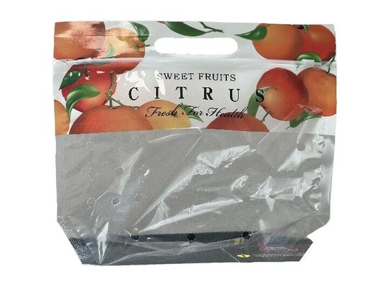 Customized Food Packaging Stand Up Zipper Bag For Fruit With Punch Hole